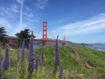 View of suspension bridge against cloudy sky