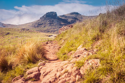 Scenic view of landscape against sky