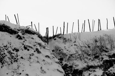 Scenic view of landscape