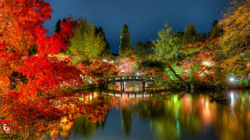 Reflection of trees in lake