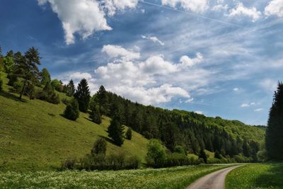 Scenic view of road amidst trees against sky