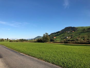 Scenic view of agricultural field against blue sky