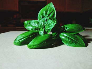 Close-up of vegetables