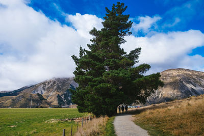 Scenic view of trees on field against sky