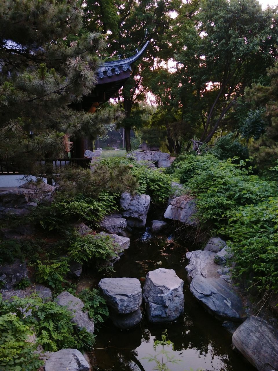 tree, water, growth, green color, rock - object, nature, tranquility, plant, beauty in nature, tranquil scene, stream, scenics, stone - object, day, outdoors, forest, sunlight, park - man made space, green, stone