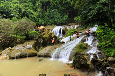 View of waterfall along trees and rocks