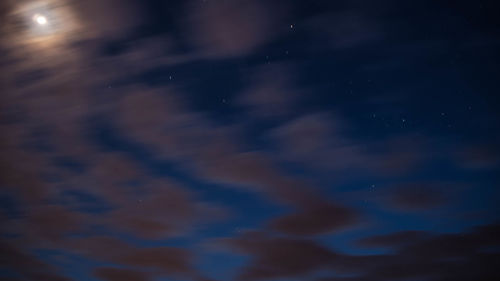 Low angle view of trees against sky