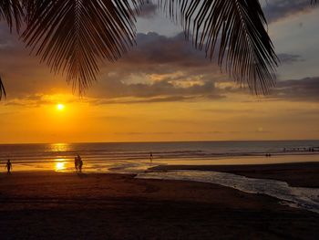 Scenic view of beach during sunset