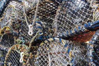 High angle view of fish fishing net