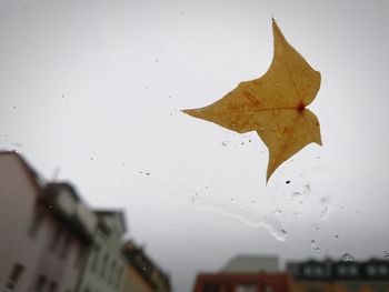 Close-up of raindrops on glass