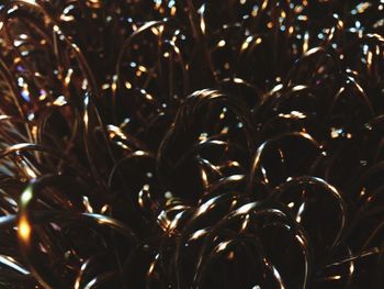 Full frame shot of christmas lights