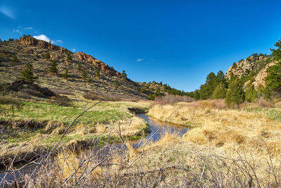 Scenic view of landscape against blue sky