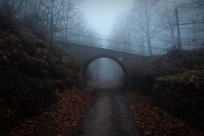 Footpath amidst trees during foggy weather