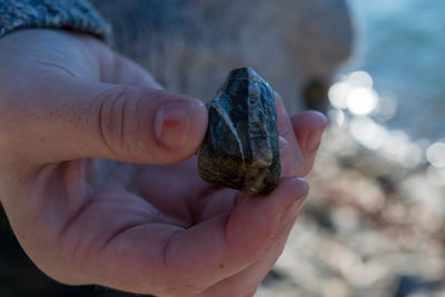 Close-up of person holding leaf