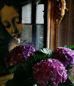 Close-up of flowers against window