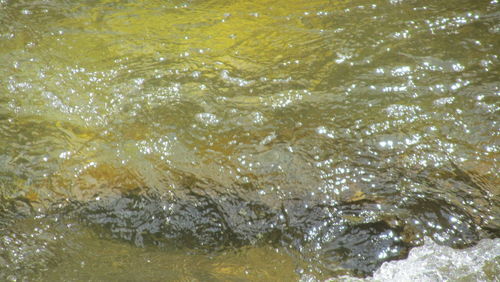 Full frame shot of rippled water