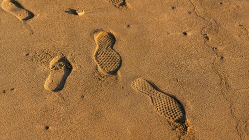 High angle view of footprints on sand