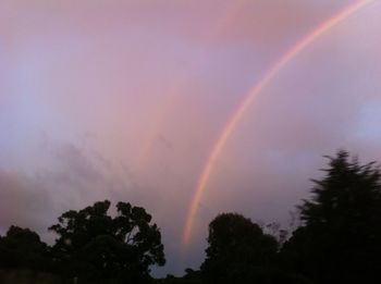 Low angle view of rainbow over trees against sky