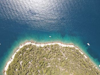 Aerial view of beach