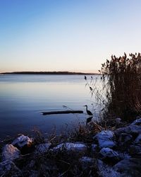 Scenic view of lake against clear sky at sunset