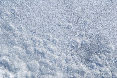 Close-up of snow