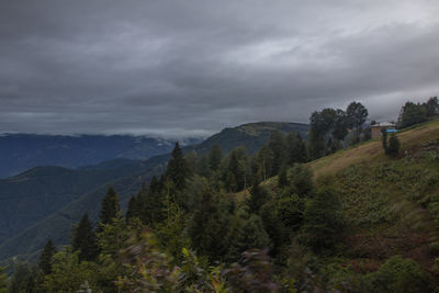 Huge mountains and green forest under the blue sky with clouds form a beautiful landscape in trabzon 