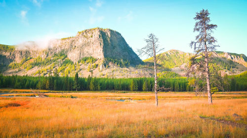 Scenic view of field against sky,yellowstone wyoming