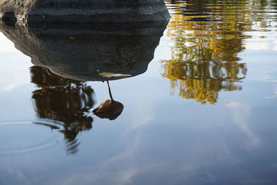 Reflection of trees in lake against sky