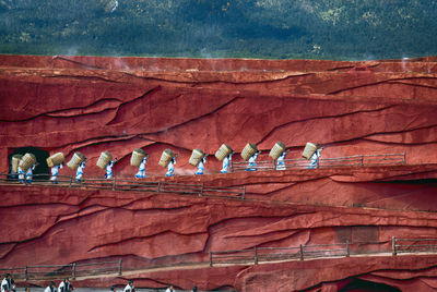 Low angle view of birds on wall of building