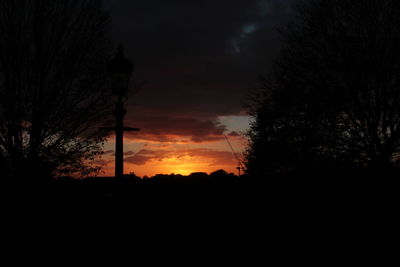 Silhouette trees against sky at night