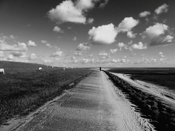 Person cycling on road by cows grazing on field against sky