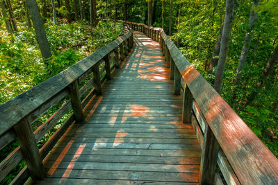 Footbridge amidst trees in forest