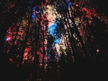 Low angle view of trees against sky