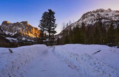 Trees on snow covered mountain against sky