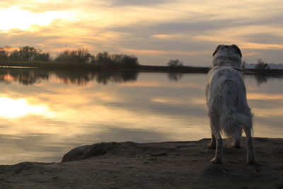 Scenic view of lake against sky during sunset