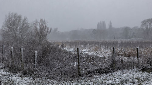 Scenic view of field against sky during winter