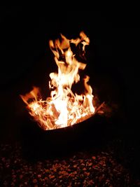 Close-up of bonfire at night