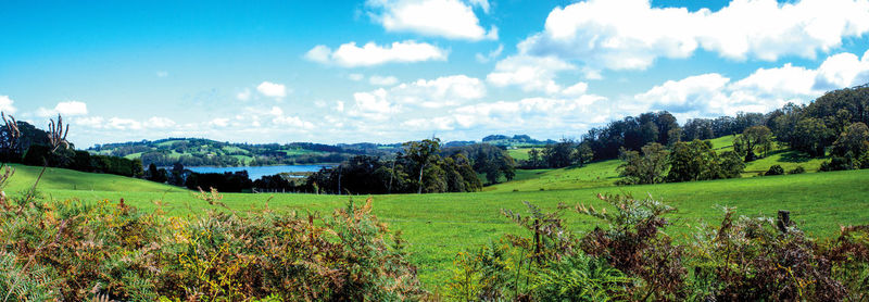 Panoramic view of agricultural field against sky