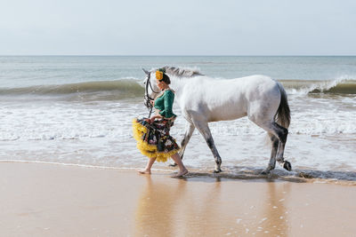Latin female in ruffled traditional flamenco costume walking with gray stallion on sandy sea beach while looking away