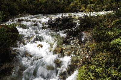 Stream flowing through rocks in forest