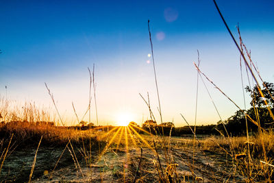 Scenic view of sunset over field