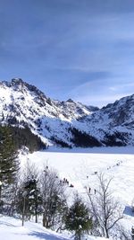winter