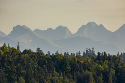 mountain