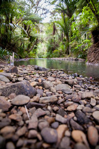 Close-up of pebbles in water