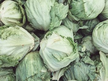 Full frame shot of cabbages for sale at market stall