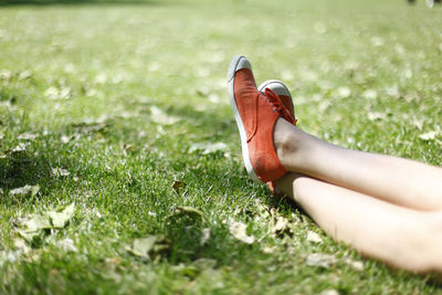 Close-up of grass on grassy field