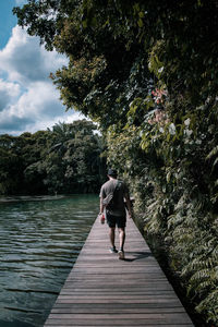Rear view of woman walking on footpath amidst trees