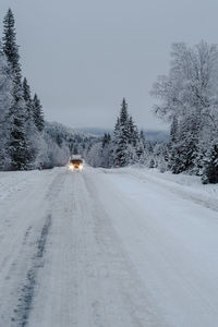 Snow covered road by trees against sky during winter