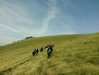 Rear view of hikers walking on grassy hill against sky