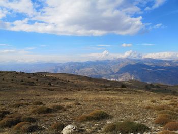 Scenic view of landscape against sky